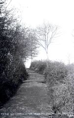 H00176 Pathway to Hollington Church in the Wood. St. Leonards c.1905 - Flickr - East Sussex Libraries Historical Photos.jpg